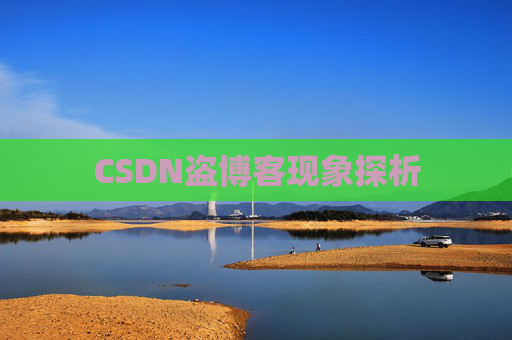 CSDN盗博客现象探析 CSDN盗博客现象探析